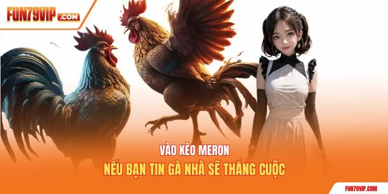 Vào kèo Meron nếu bạn tin gà nhà sẽ thắng cuộc