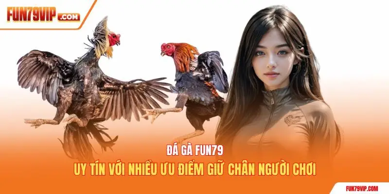 Đá gà Fun79 uy tín với nhiều ưu điểm giữ chân người chơi